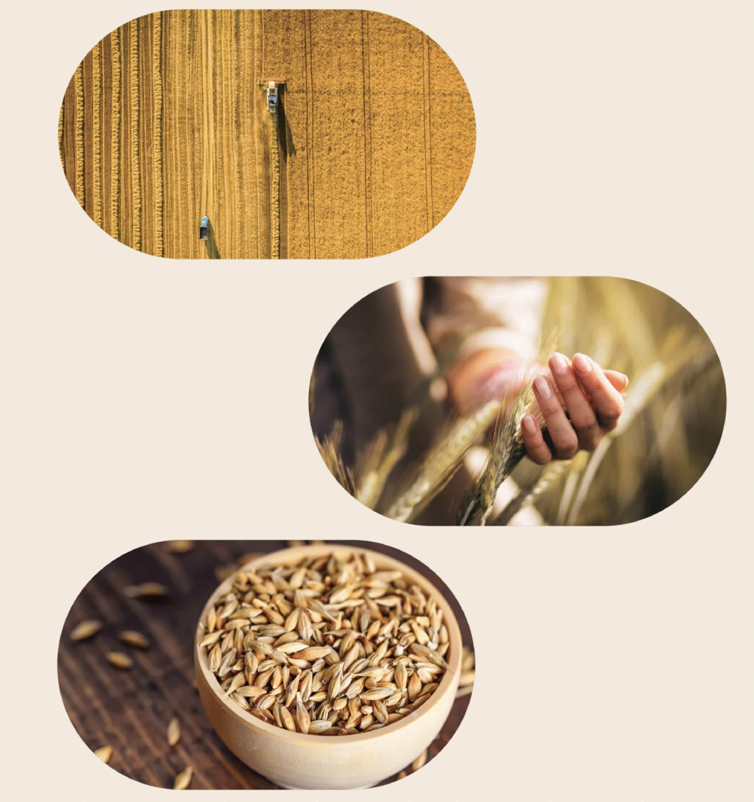 HomeImage1